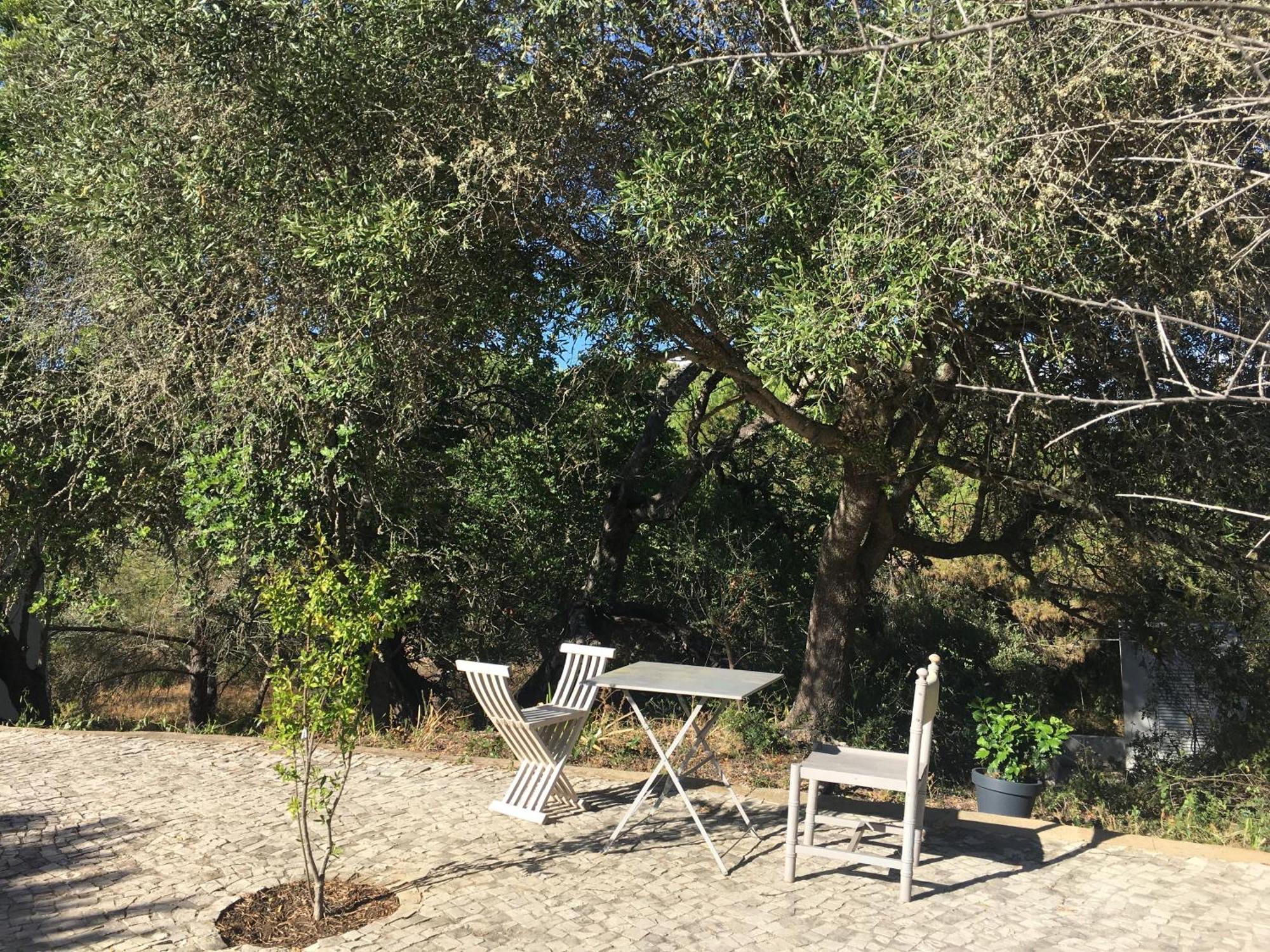 Casa Da Ti Carolina Villa Carvoeiro  Luaran gambar