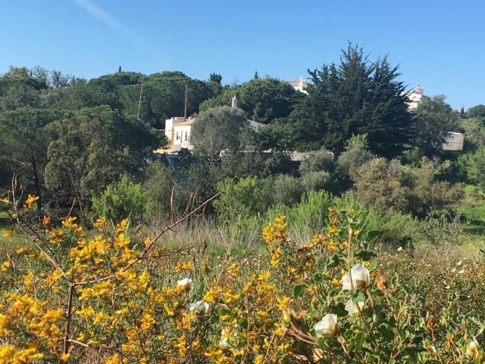 Casa Da Ti Carolina Villa Carvoeiro  Luaran gambar